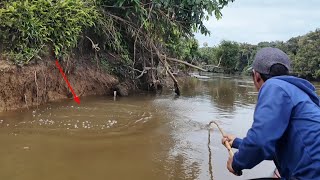 SAMBARAN GANAS IKAN PENGHUNI SUNGAI LAMANDAU [upl. by Hultin]