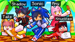 10 Friends on one SONIC BLOCK [upl. by Anhavas874]