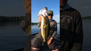 Twitching a Minnow for Big Maine Largemouth bassfishing largemouthbass maine [upl. by Cahra]