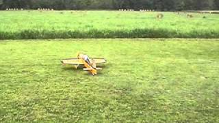 FLYING MY SEAGULL MODELS YAK 54 RC AIRPLANE [upl. by Aube571]