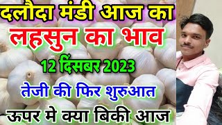 दलौदा मंडी आज का लहसुन का भाव 12 दिसंबर 2023 garlic rate today aaj ka lahsun ka bhav [upl. by Errol222]