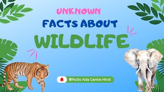 quotमजेदार जानवरों की जानकारी  Animal Fun Facts for Kids in Hindi  Learn with Fun  Amazing Animalquot [upl. by Eurydice13]