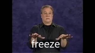 RSS ASL Lesson Glossary  ASL Sign  Freeze [upl. by Gaven]