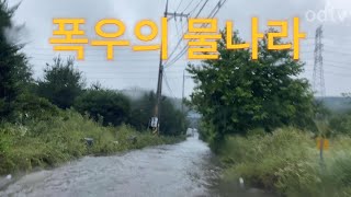 korea street view live in heavy rain  폭우에 자동차 운전 동영상 2024 [upl. by Ahselyt584]