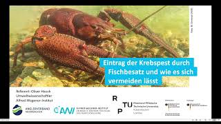 Krebspest durch Fischbesatz [upl. by Barton]