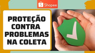 Shopee Manifesto do Vendedor  Gerar relatorio para coleta da transportadora [upl. by Luckin663]