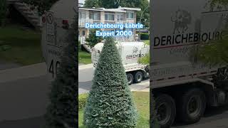 Derichebourg Labrie Expert shorts garbagetruck recycling garbagecollection [upl. by Fogel952]