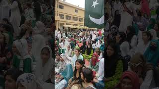 jinnah university for women Celebration independence day of pakistan [upl. by Renba]