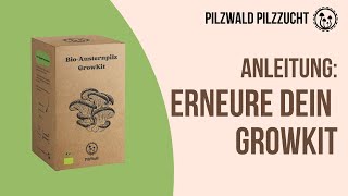 Anleitung Erneure dein Growkit [upl. by Lledner112]