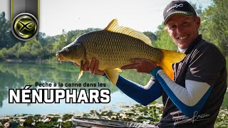 La pêche dans les nénuphars avec Jérémie Boissière  Canne Torque Euro Carp  Matrix Fishing TV 🇫🇷 [upl. by Yong]