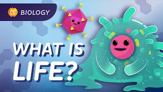 Introduction to Biology Crash Course Biology 1 [upl. by Sylram180]