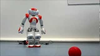 Nao Robot  Testing the Sonar [upl. by Ceevah]