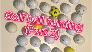 Golf ball hunting part 2 [upl. by Yorgos307]