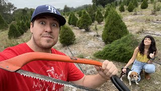 We Cut Down Our Own Christmas Tree Old Florida Christmas Tree Farm Vlog  Ergle’s of Dade City [upl. by Nomal201]