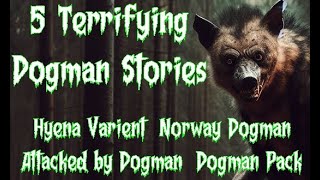 E22 5 Dogman Stories  Dogman Attacks Campers Hyena Dogman Pack of Dogmen Dogman in Norway [upl. by Ddal969]