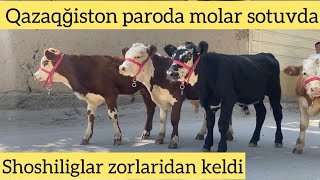 😱👍Qazağistondan parodiya buqalardi zorlari keldi shoshiliglar [upl. by Adnal]