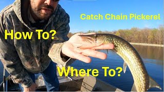 How to Catch Chain Pickerel Where to go [upl. by Rivard]