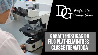 079 Características do Filo Plathelminthes  Classe Trematoda [upl. by Sesiom]