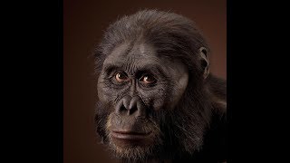 Australopithecus [upl. by Ressler]