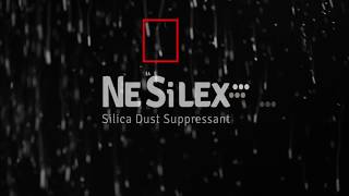 NeSilex Demo [upl. by Randi]