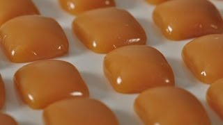 Caramels Recipe Demonstration  Joyofbakingcom [upl. by Nicoli]