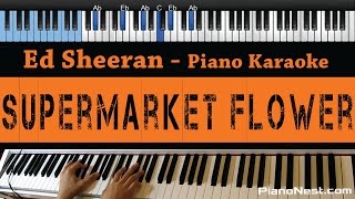 Ed Sheeran  Supermarket Flower  LOWER Key Piano Karaoke  Sing Along [upl. by Aimahs]