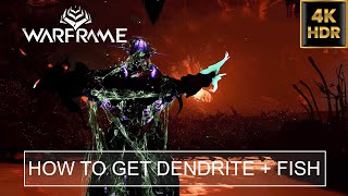 How To Get Dendrite Blastoma amp Amniophysi Barbisteo Vitreospina Fish  Warframe [upl. by Buddy468]