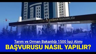 Tarım ve Orman Bakanlığı 1500 işçi alımı başvurusu nasıl yapılır İşte İŞKUR başvuru yolu 2024 [upl. by Pavior]