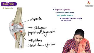 16 Knee Joint  Anatomy  MBBS Lecture [upl. by Vick]