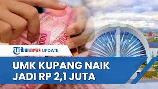 Catat UMK Kupang 2023 Naik Jadi Rp 21 Juta Perusahaan Diminta Taat Pengupahan Sesuai Aturan [upl. by Ietta]