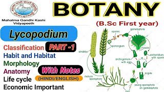 LycopodiumMorphologyAnatomylife cycle of Lycopodium  PART1 [upl. by Dareen312]