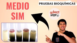 PRUEBA DE SIM l PRUEBAS BIOQUÍMICAS EN MICROBIOLOGÍA l MEDIO SIM MICROBIOLOGÍA PRUEBA BIOQUÍMICA SIM [upl. by Nyladnar]