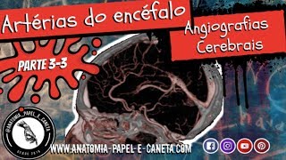 Artérias do encéfalo Parte 33  ANGIOGRAFIA CEREBRAL  ARTÉRIOGRAFIAS [upl. by Sherill]