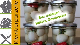 Eier einlegen  Soleier  Gewürzeier [upl. by Yrod]