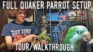 QUAKER PARROT CAGE TOUR Full Enclosure Walkthrough for Small Parrots [upl. by Assetnoc]