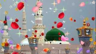 Aye Sabz Gumbad Wale  Owais Raza Qadri  HD [upl. by Atterys]