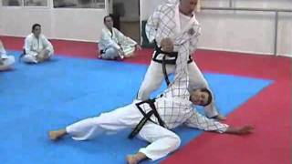 Taekwondo ITF Self Defense Session part 23GP [upl. by Catie]