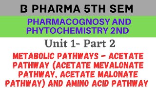 Acetate pathway in pharmacognosy  Amino acid pathway  Pharmacognosy and phytochemistry 5th sem [upl. by Noroj]