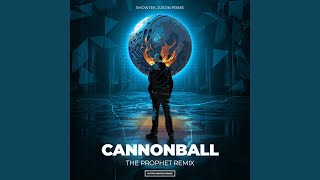 Cannonball The Prophet Remix [upl. by Nylaehs394]