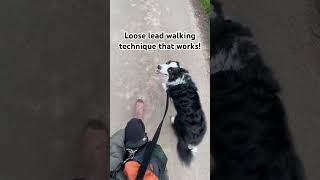 Try this loose lead walking technique that really works 🌟 [upl. by Keelby]