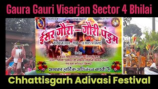 Gaura Gauri Visarjan Sector 4 Bhilai  ईसर गौरा गौरी पंडुम 2023  Adivasi Festival CG  Gaura Gauri [upl. by Hanus125]