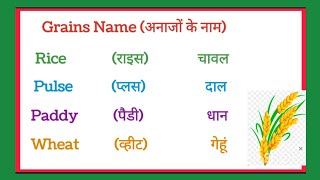 Grains Vocabulary  Grains Name in Hindi and English  20 अनाज के नाम Cereals Name in English [upl. by Edgar]