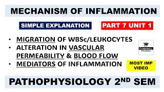 Inflammation  Mechanism Of Inflammation  Mediators Of Inflammation  Ch 3 U 1  Pathophysiology [upl. by Ky]