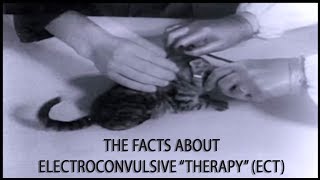 Electroconvulsive quotTherapyquot —The Facts about ECT [upl. by Bollen]