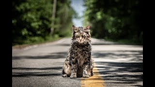 FRIEDHOF DER KUSCHELTIERE  OFFIZIELLER TRAILER  Paramount Pictures Germany [upl. by Ceil2]