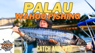 Palau Fishing  trolling and spearing  Wahoo and coronation trout catch and eat  ocean to plate [upl. by Ahsilat]