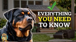 Owning a Rottweiler What They DONT Tell You Before Getting One [upl. by Kat]