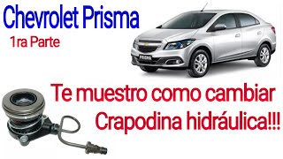 Te muestro como cambiar crapodina hidráulica chevrolet prisma [upl. by Schaper]