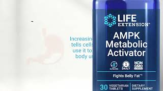 Fight Fat At the Cellular Level With AMPK [upl. by Carilla198]