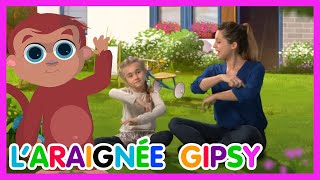 Laraignée Gipsy  Les Amis de Boubi Comptines pour enfants [upl. by Schatz]